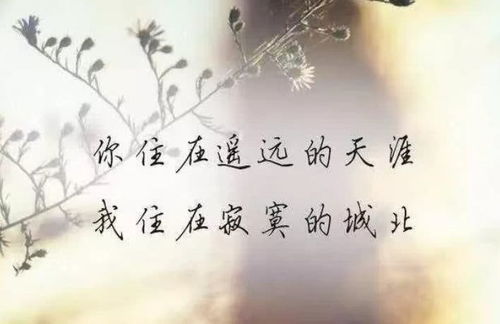 动情不动心歌曲，动情是什么感觉