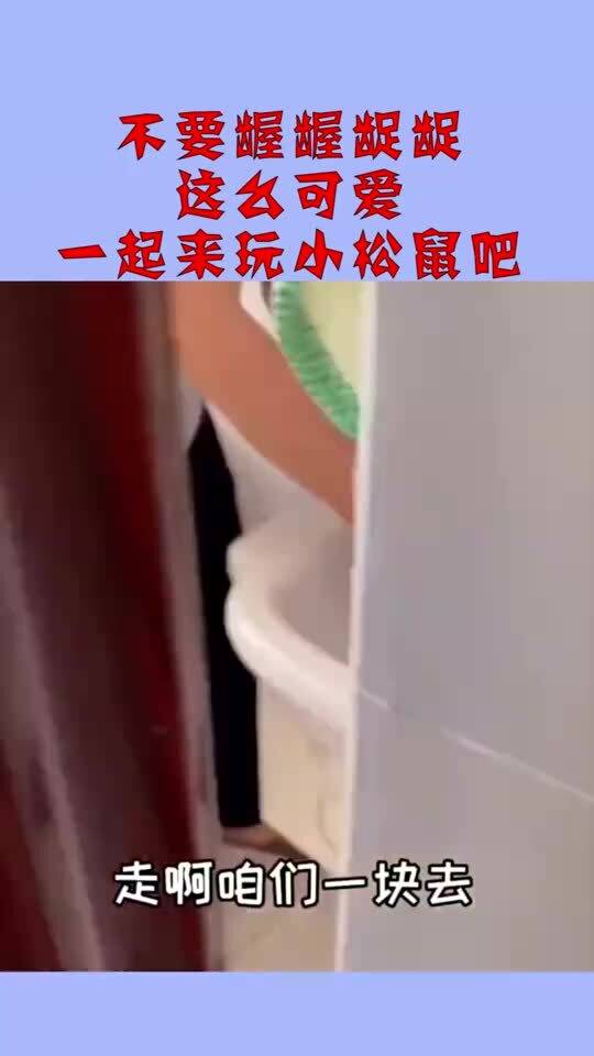 龌_的读音龌_的读音是什么