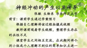 冲动怎么造句子