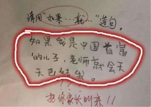 可能的解释及造句介绍