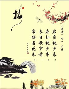 王维的杂诗 意思