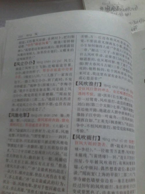 凉字可以组什么成语?