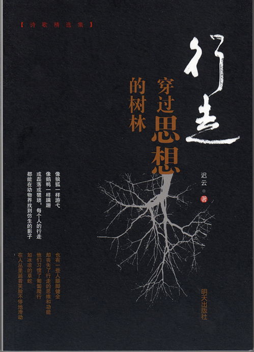 悲悯情怀，悲悯之心的意思