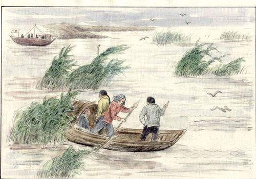 荷花淀原文全部，荷花淀原文阅读答案