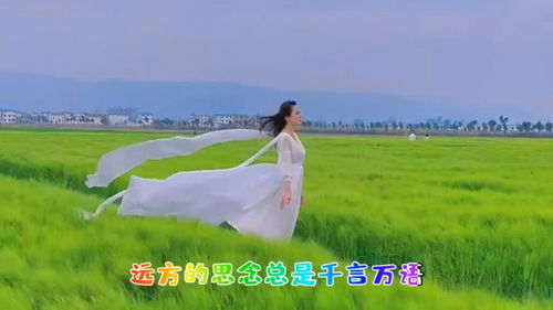 歌词:告诉自己要坚强,因为他们陪在我的身旁。虽然跌跌撞撞。求歌名