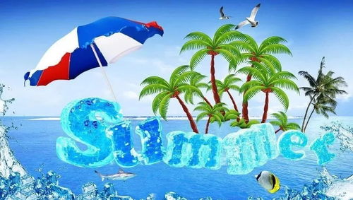 summer palace是什么意思，summer school是什么意思