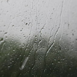 伤心雨歌词表达意思，伤心雨季歌曲