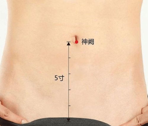 针灸通经络打一字，针灸通经络打一字谜