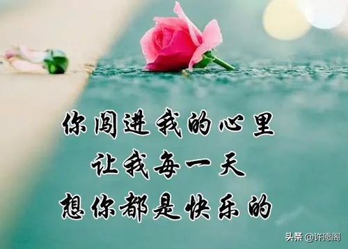 认识你是对还是错
