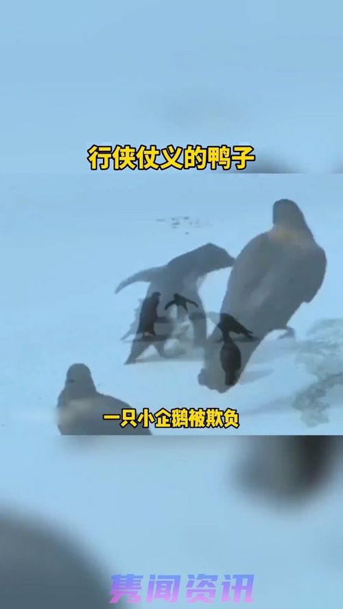 路见不平拔刀相助是什么意思