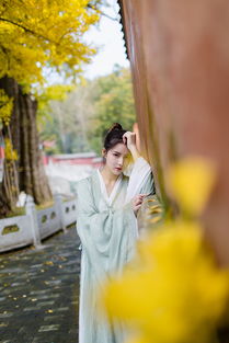 出尘的意思 出尘含义