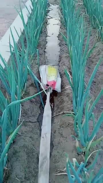 拖泥带水什么意思