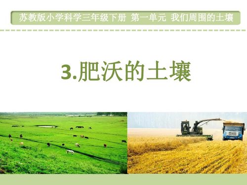 肥沃的造句肥沃的造句是什么