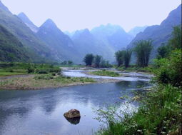乌龙岭在哪里，乌龙岭龙眼