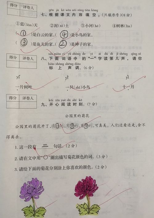 变调是什么意思