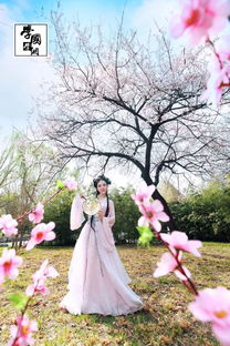 《东栏梨花》如何翻译?