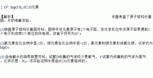 初中化学离子符号大全