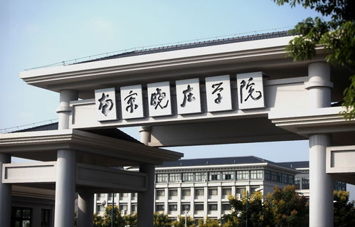 南京晓庄学院专业分数线，南京晓庄学院专业组代码