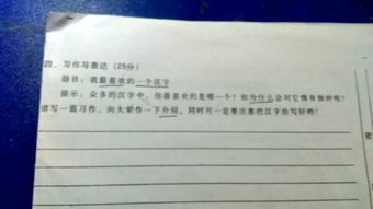 我最喜欢的汉字作文
