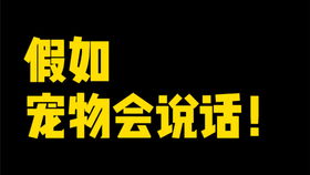 表哥 英语怎么说造句