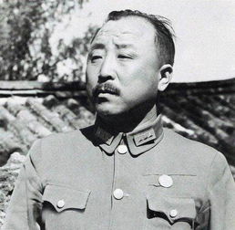卫立煌到访延安