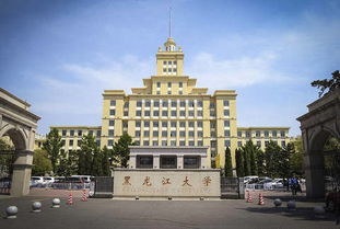 黑龙江大学研究生网报公告，黑龙江大学研究生网址