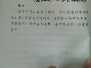 拜年作文600字六年级，拜年作文600字七年级