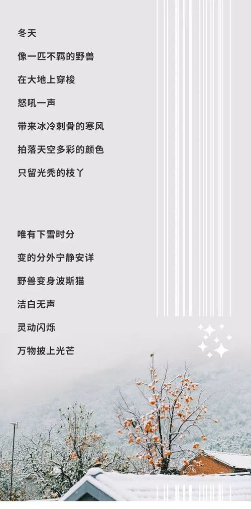 吹灯窗更明月照一天雪的诗意，吹灯窗更明,月照一天雪全诗