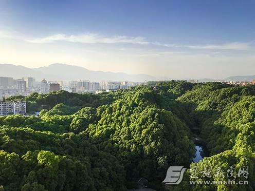 凤凰山森林公园简介，凤凰山森林公园开放时间