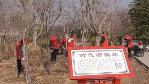 茅檐长扫净无苔,花木成畦手自栽,这首诗在写什么?