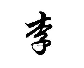 李拼音怎么打字，李拼音怎么写的拼