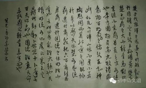 《楚子发母》文言文翻译