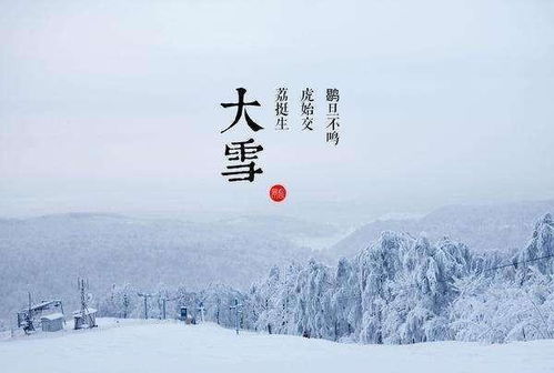 咏雪的古诗词