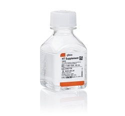 supplement英文怎么说