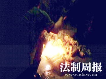 灼烧金岫，灼烧玫瑰阿阮有酒