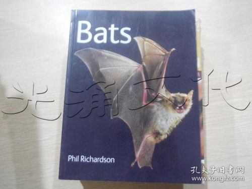 bats翻译，bats to the rescue阅读答案解析