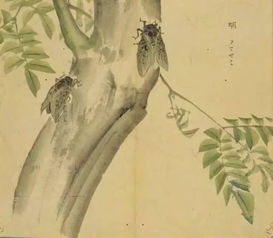 诗经《七月》