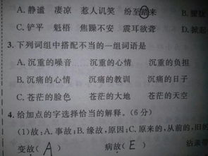 就字组词有哪些词语