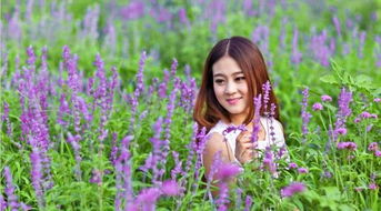 仲春时节是什么意思，梨花若雪时节是什么意思