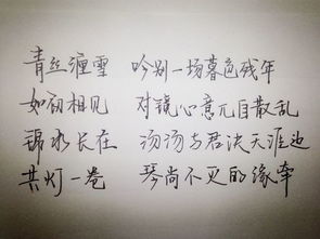堆砌辞藻是什么意思，辞藻是什么意思解释