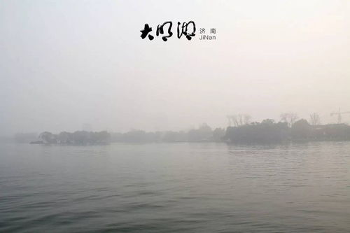 陛下你还记得大明湖畔的夏雨荷吗，你还记得大明湖畔的夏雨荷吗视频