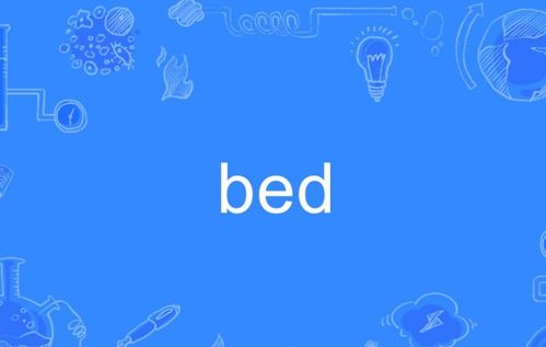 bed怎么读