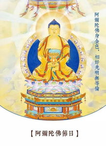 阿弥陀佛心咒怎么读?