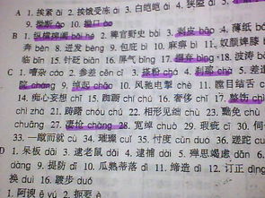 许的拼音，许多的拼音怎么读音写