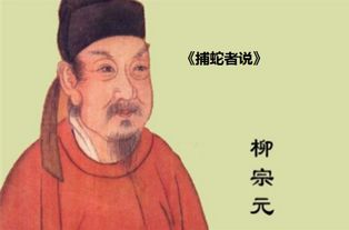 捕蛇者说原文及翻译重点字词，捕蛇者说原文及翻译一句原文一句译文