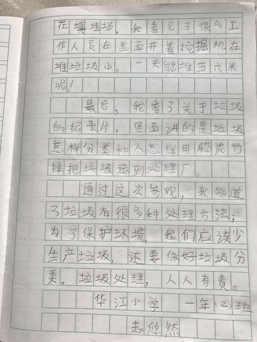 幼儿园托班教育笔记200篇，幼儿园托班教育笔记30篇完美版