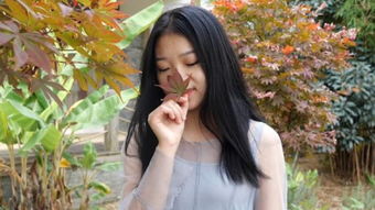 qq爱原唱