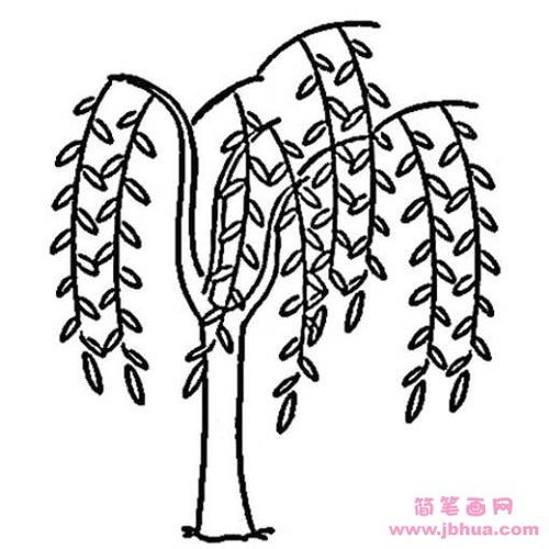 柳树的简笔画法，柳树的简笔画 儿童
