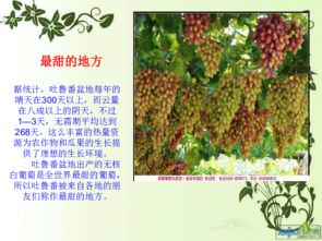 二年级《葡萄沟》说课稿