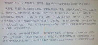 兴趣爱好作文画画，兴趣爱好作文开头